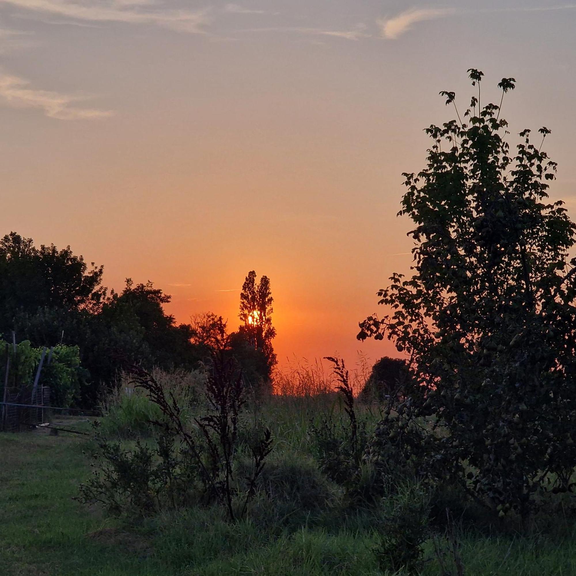 Appartamento Divino Tramonto Altedo Eksteriør bilde