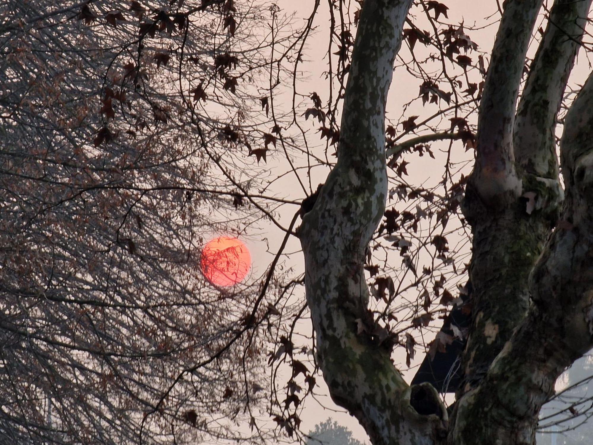 Appartamento Divino Tramonto Altedo Eksteriør bilde